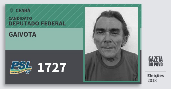 Santinho Gaivota 1727 (PSL) Deputado Federal | Ceará | Eleições 2018 Santinho Gaivota 1727 (PSL) Deputado Federal | Ceará | Eleições 2018