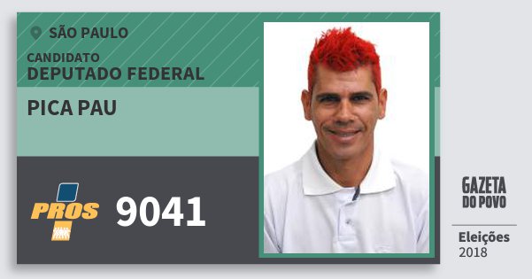 Santinho Pica Pau 9041 (PROS) Deputado Federal | São Paulo | Eleições 2018 Santinho Pica Pau 9041 (PROS) Deputado Federal | São Paulo | Eleições 2018